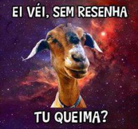 /album/rindo-no-maximo/ei-vei-sem-resenha-tu-queima-jpg/